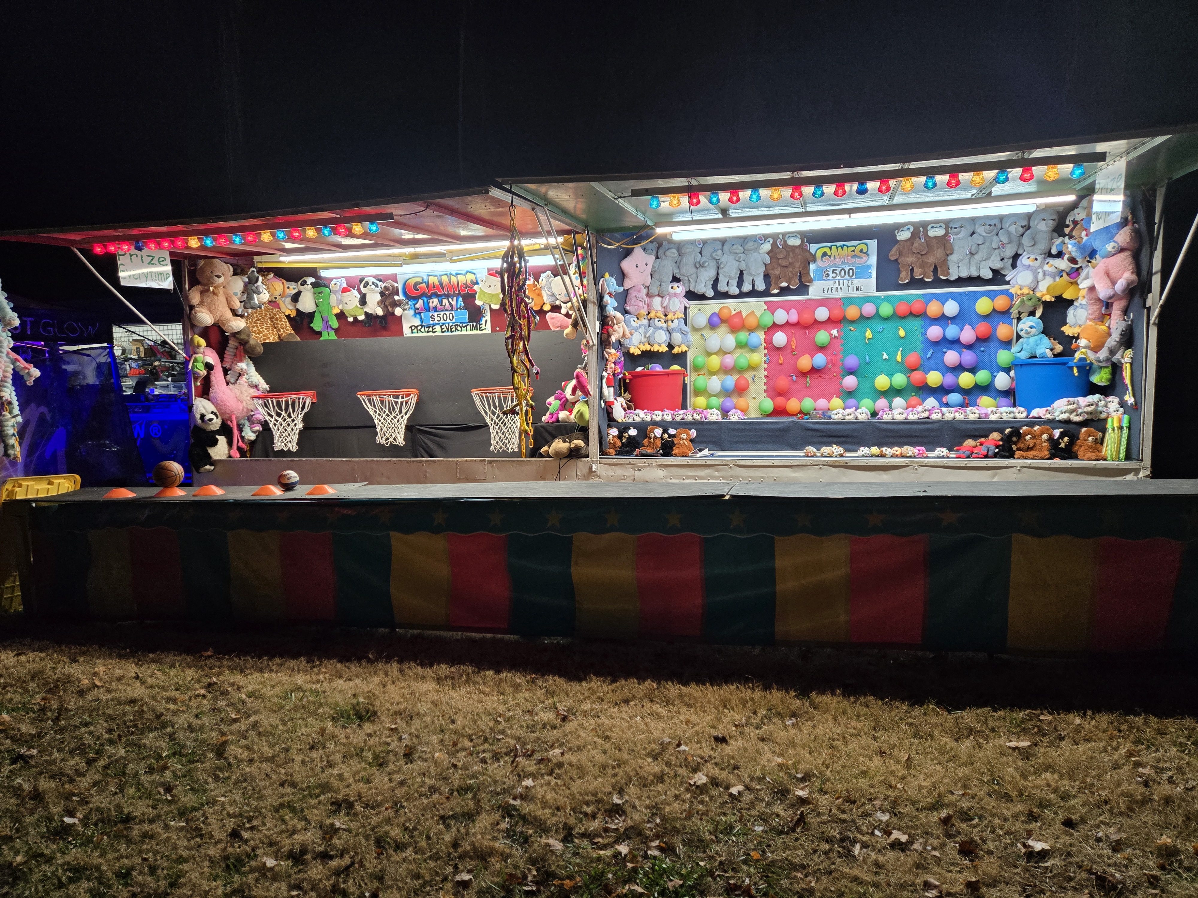 Our Aussie peeking out of the truck window ready for the next adventure